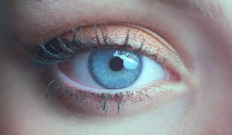What is Retinitis Pigmentosa, What Are Its Symptoms, How Is It Diagnosed?