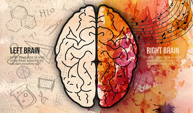 What is the difference between Right and Left Part of the Brain?