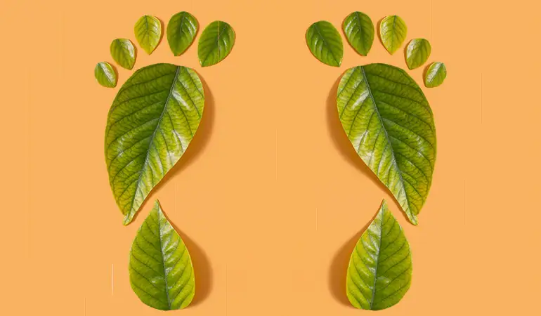 What is Carbon Footprint? How is it Calculated?